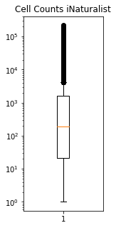 <Figure size 144x360 with 1 Axes>